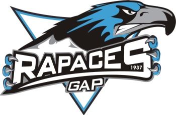 Gap2011